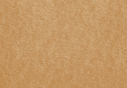 Пленка ИЗОСПАН FB отражающая для бань и саун